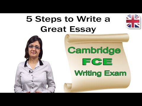 write an essay for you